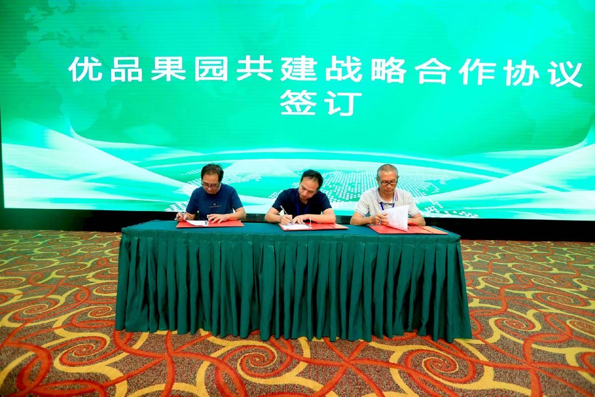 专家学者共议产业发展    2020柑橘产业创新发展暨产业协同服务推进会在眉山举行