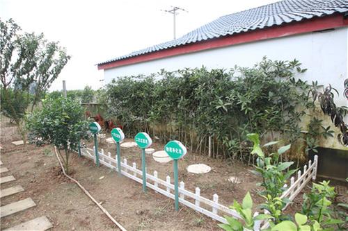 彭山区：推进“厕所革命”改善农村人居环境