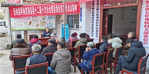 岳池县科协赴顾县镇观桥村开展县委十二届十次全会暨县委经济会议精神宣讲会