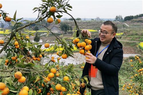 岳池县发展产业经济助力乡村振兴 