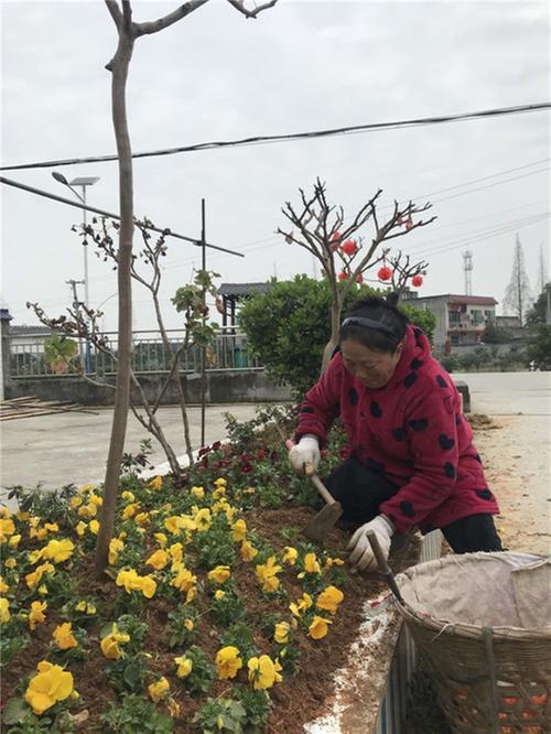 三苏镇望苏村：提升人居环境 ，再添美丽秀色