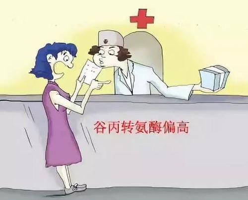 “谷丙转氨酶偏高”须重视