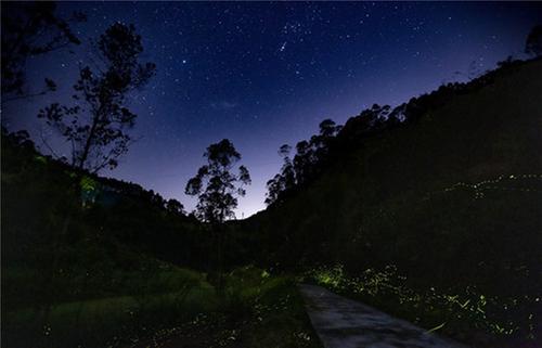 青神县：千万“萤光”即将点亮