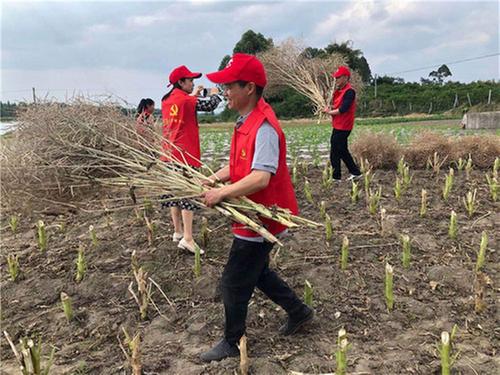 彭山区：田间地头办实事  为民服务解忧愁