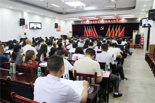 沿口镇召开中共沿口镇第八次代表大会