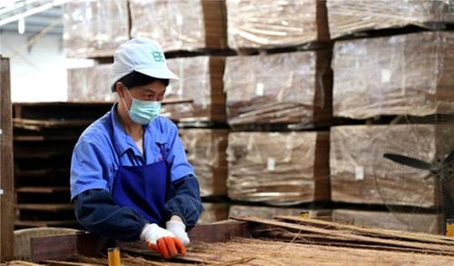 洪雅县：立足生态推动竹产业高质量发展