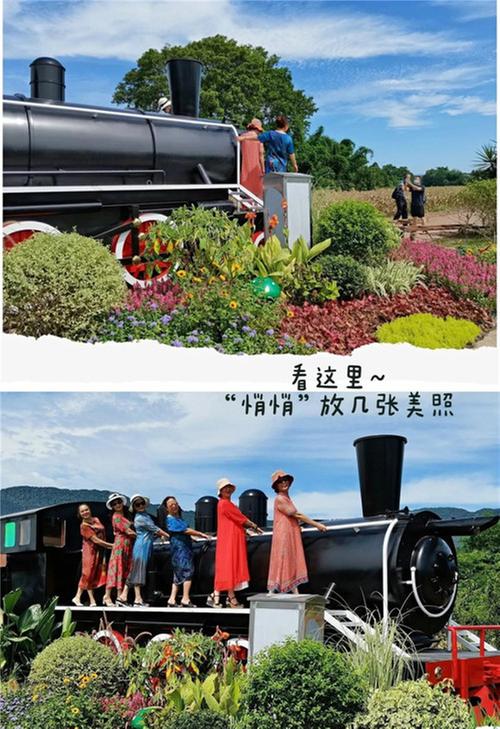 洪雅县妙笔书写两项改革“后半篇”文章