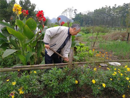 汉阳镇：打造美丽乡村让群众生活更美好