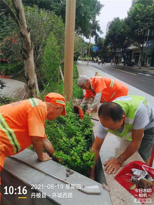 丹棱县综合行政执法局开展卫生集中整治行动