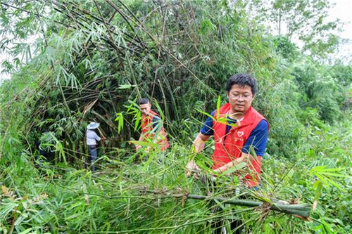 广安区：党徽闪耀在抢灾救灾第一线