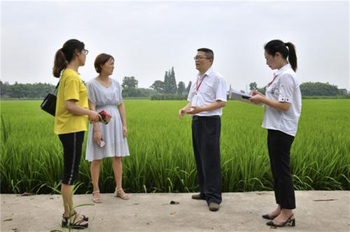彭山区：用心用力解决群众急难愁盼事