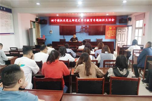 街子镇机关党支部召开党史学习教育专题组织生活会