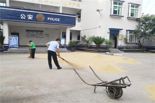 与暴雨赛跑 新场派出所民警助群众抢收稻谷