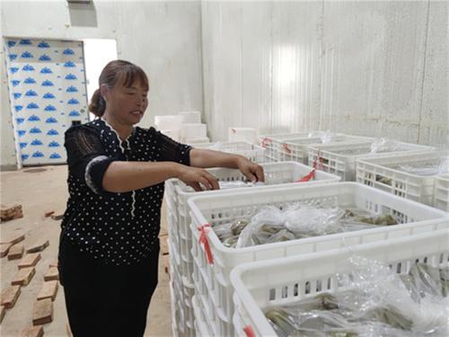 洪雅县：产地仓储冷链保鲜  农产品“运得出供得上”