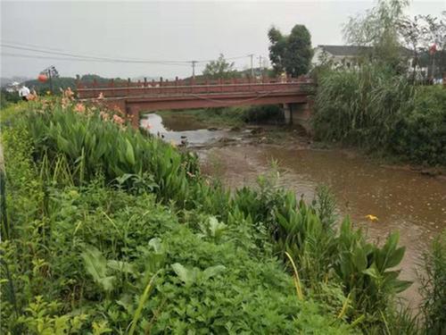 彭山区：持之以恒 “四治水”  水清岸绿景更美