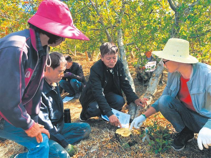 资源汇聚 “天府科技云”精心打造科普共享基地集群