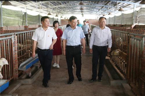 广安市残联帮扶丁坝村巩固拓展脱贫攻坚成果与乡村振兴有效衔接