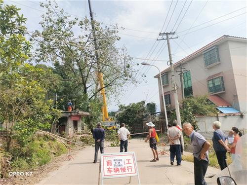 庆华镇：砍伐枯木 消除安全隐患