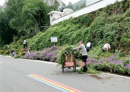 瑞峰镇：干群齐发力，绿色乡村美如画