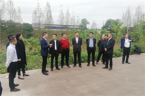 广安市政协王宏副主席一行视察长滩寺河污染治理工作