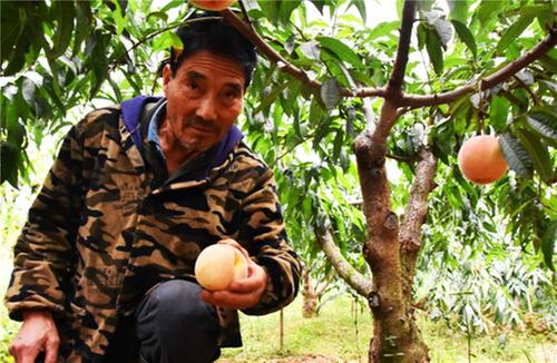 徐洪书：另辟捷径寻找致富路