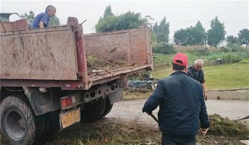 护安镇大力整治环境卫生