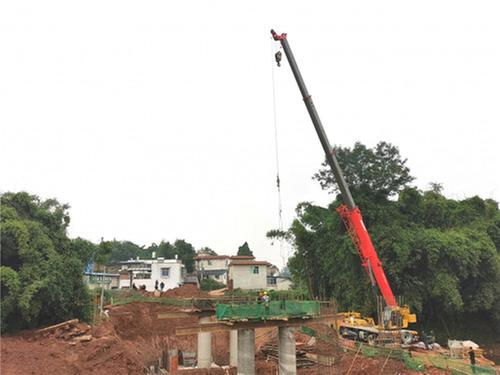 青神县白果乡：政府出资+村民众筹 齐心共建漫水桥