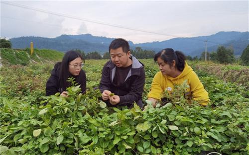巴中市组织科技专家进村入企解惑答疑