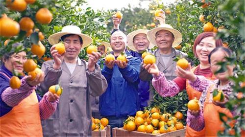 这五年，青神“民生答卷”写满幸福