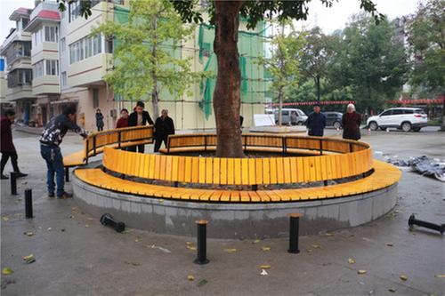 “共享菜园”聚民心 西龙镇龙凤社区美丽“蝶变”