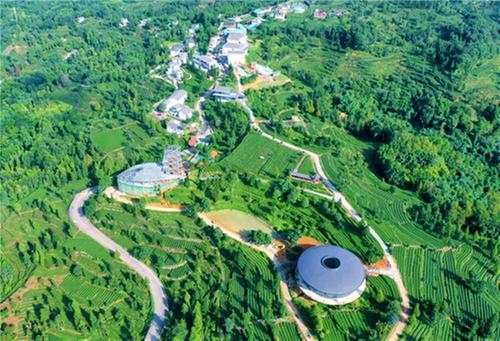 企业联乡村 共走振兴路