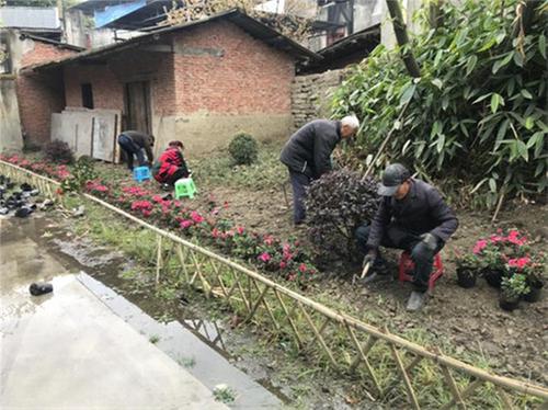 行民主道 走协商路