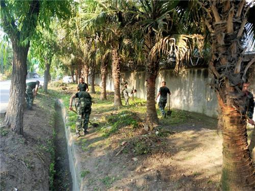 军屯镇：企业共参与 助力人居环境整治