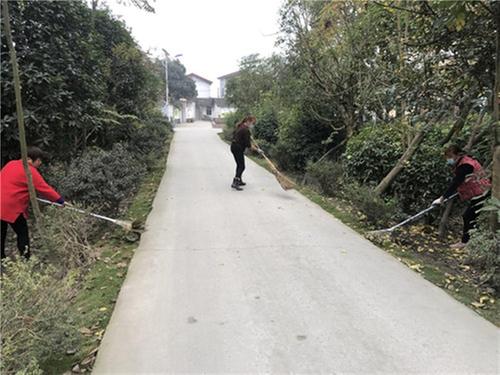 军屯镇:党建引领人居环境整治，推动乡村振兴