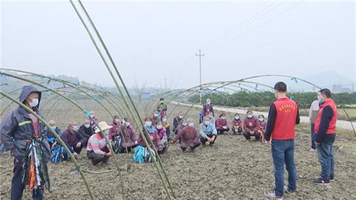 青神县基层干部深入田间地头宣讲党的十九届六中全会精神