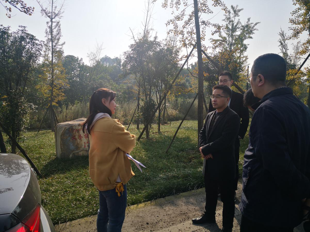 眉山市林业局党组成员查看醴泉河水岸绿化