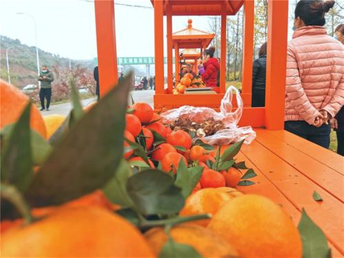 青神：路边赶集真“稀奇” 水果集市助增收