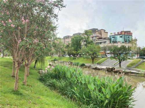 洪雅县：着力打造宜居宜业宜养宜游中国养生之都