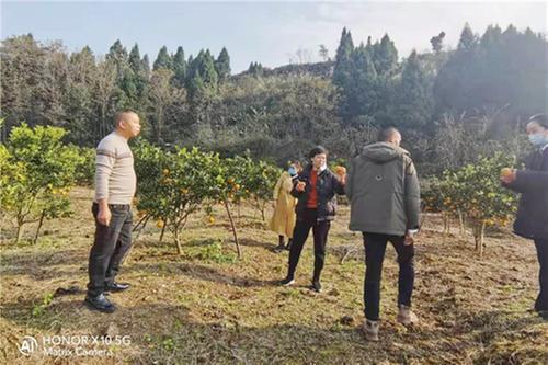 嘉陵区农业农村局赴嘉陵区太阳沟生态农业园调研