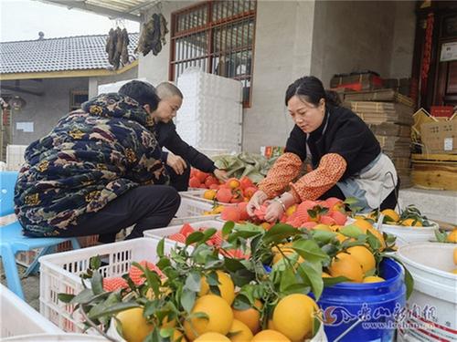 罗城镇：积极争创省级百强中心镇