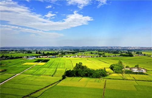 彭山区:守护碧水蓝天 提升环境质量