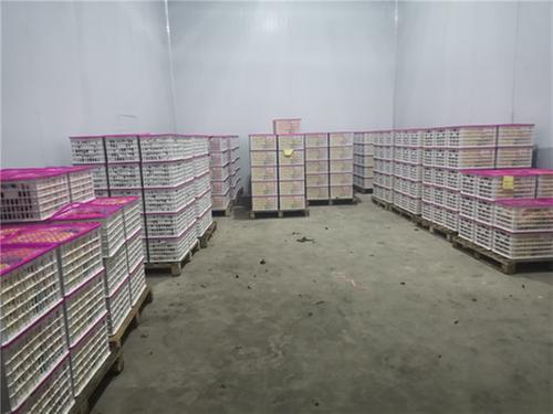 杨场镇：出实招 办实事 壮大村集体经济