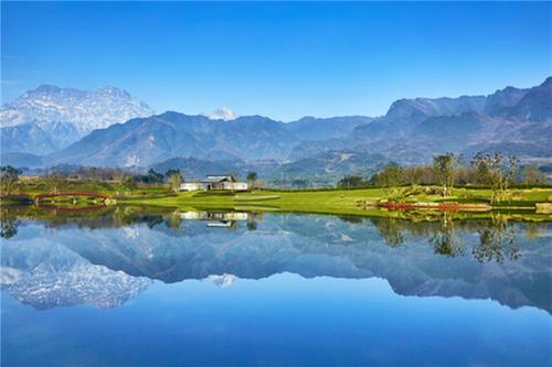 依托龙头打造生态链