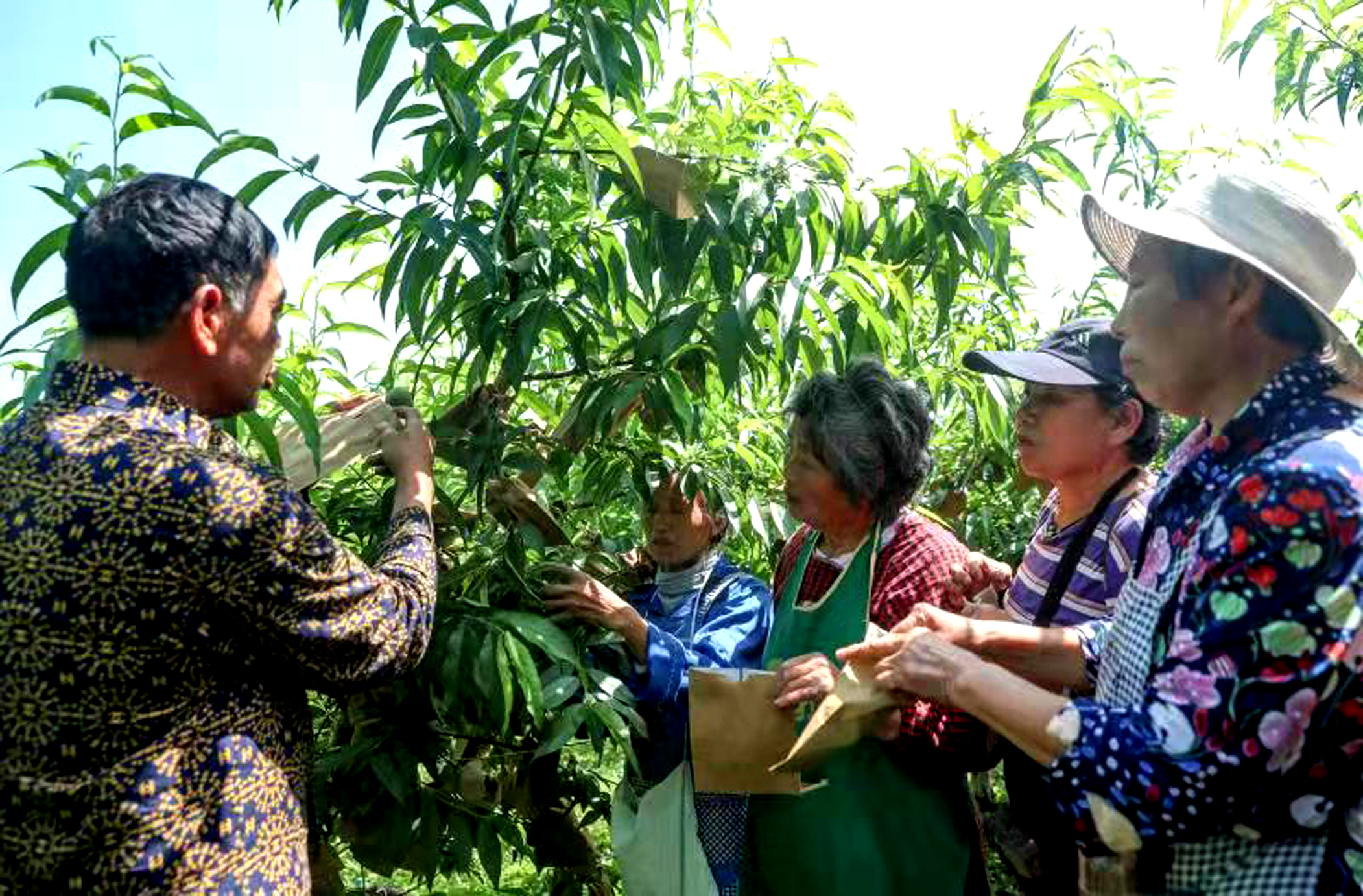 华蓥市科协：助推合作社发展  带领村民奔小康