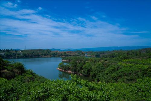 丹棱县：在绿色“赛道”提挡加速 谱写生态环境发展新篇章