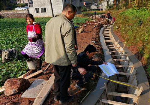 丹棱县：农田建设速度与质量并进