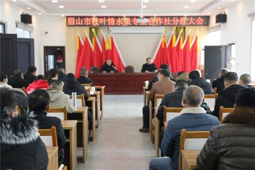 丹棱：合作社首次分红 社员们开心“提现”