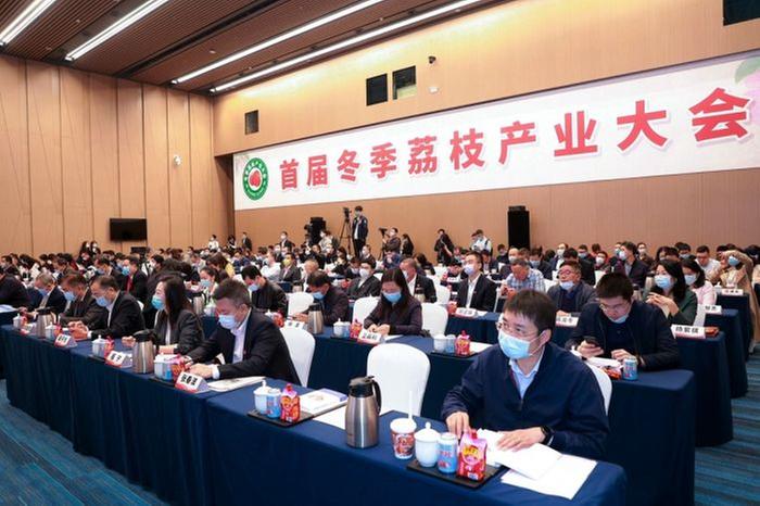 首届冬季荔枝产业大会在广州召开 看冬奥、品荔枝成为时尚新玩法