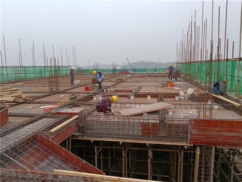 仁寿县：激荡新年新气象 奋力冲刺“开门红”