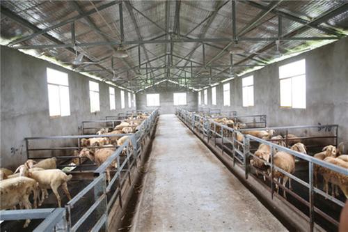 广安区拟命名为乡村振兴先进县